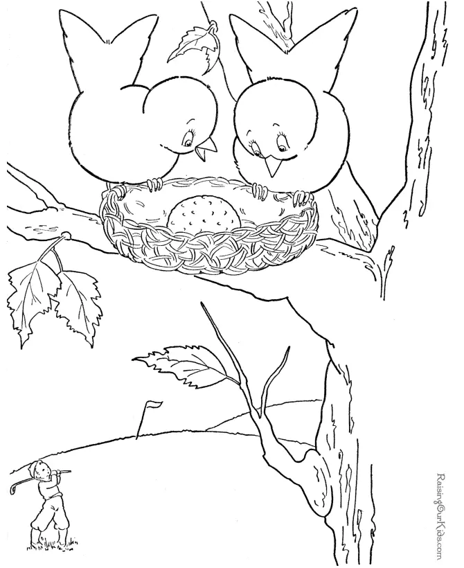 Vogel Ausmalbilder 95