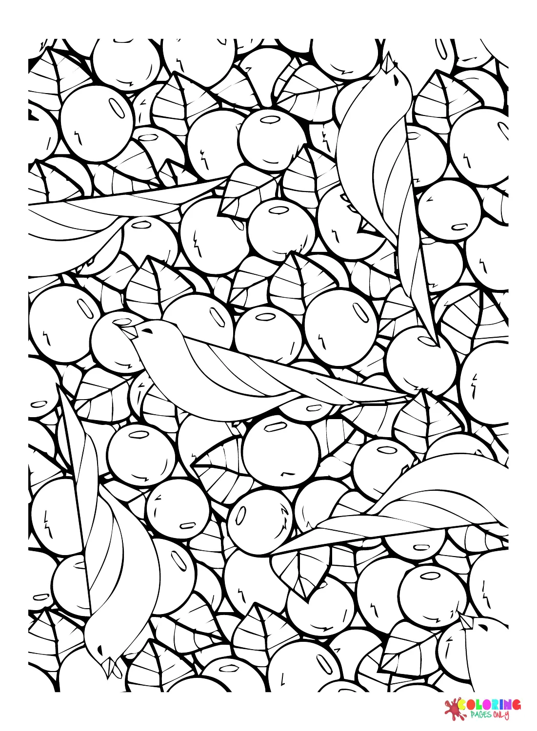 Blaubeer Ausmalbilder 14