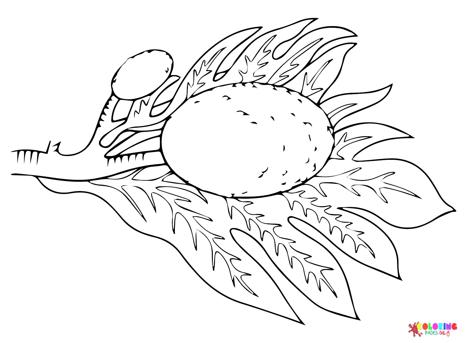Desenhos de Fruta-Pao Para Colorir 11