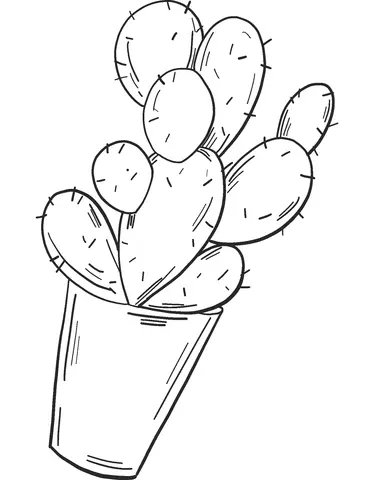 Cactus Coloring Pages 20