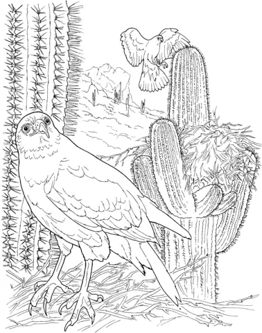 Cactus Coloring Pages 36