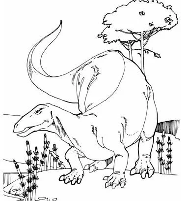 Camptosaurus Coloring Pages 7