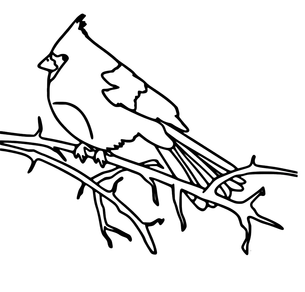 Cardinal Coloring Pages 9