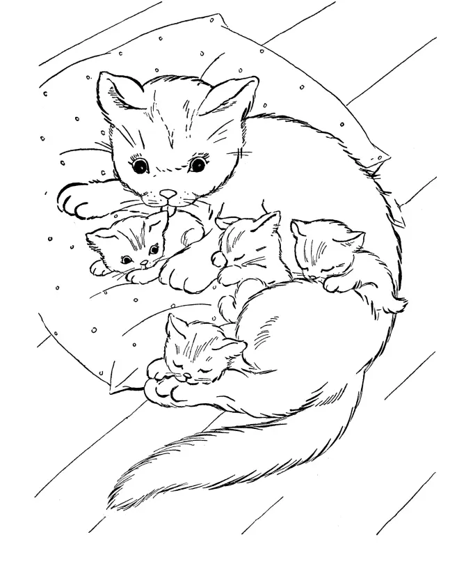 Katze Ausmalbilder 20