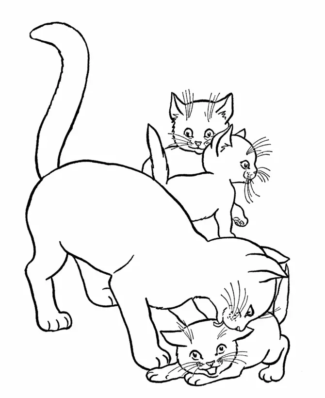 Katze Ausmalbilder 43