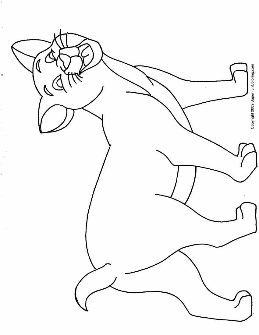 Katze Ausmalbilder 64