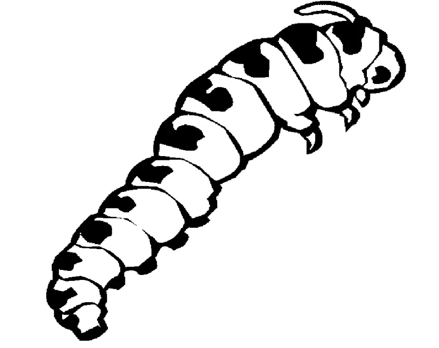 Caterpillar Coloring Pages 46