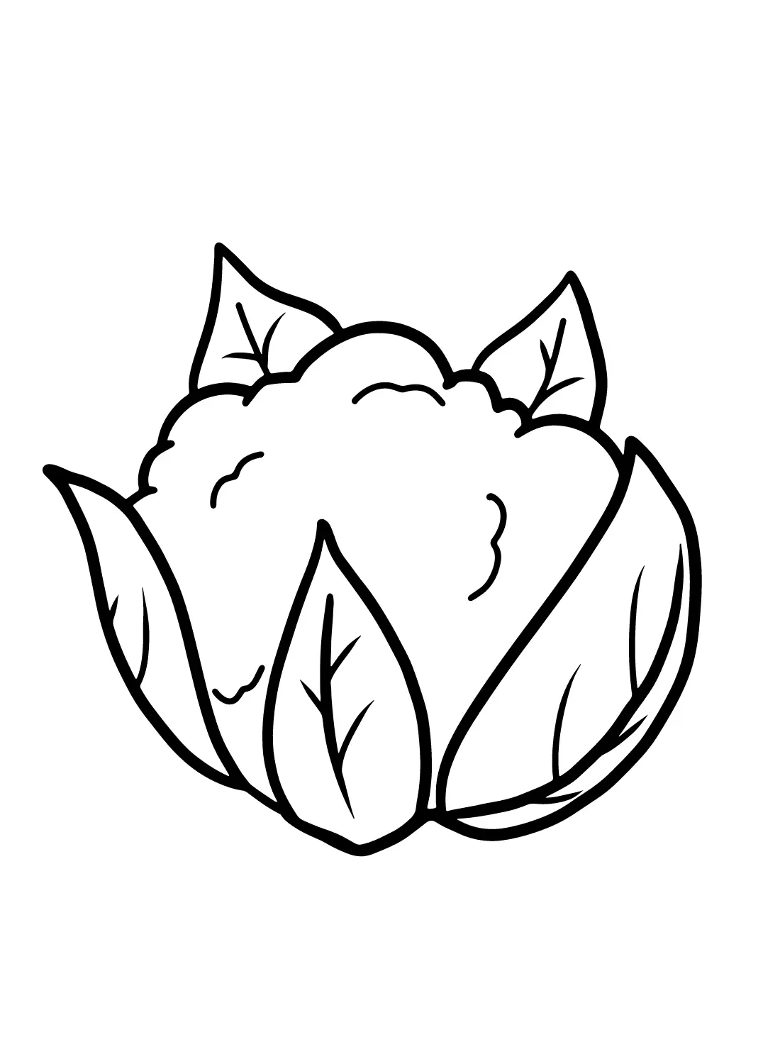 Cauliflower Coloring Pages 17