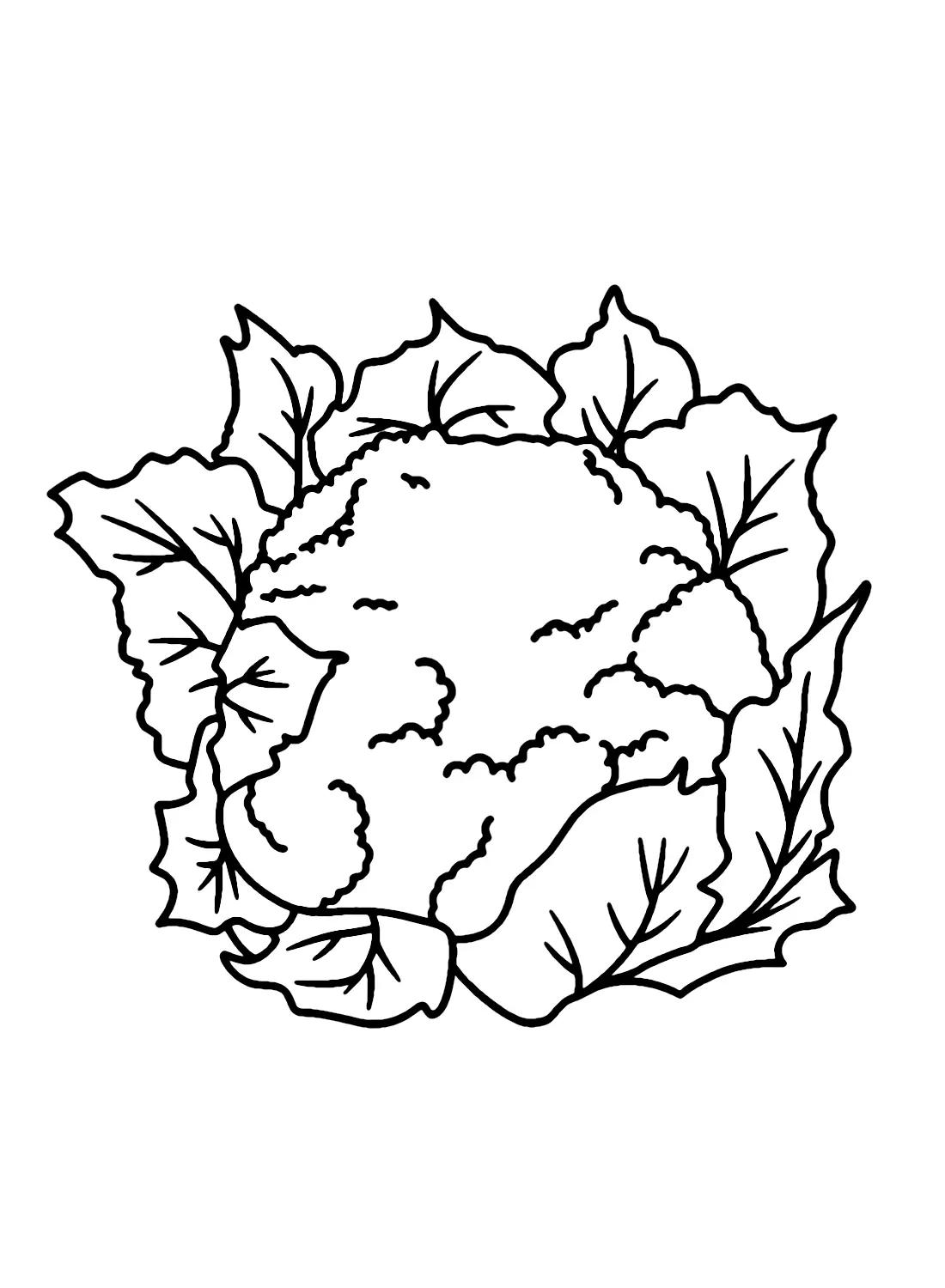 Cauliflower Coloring Pages 19