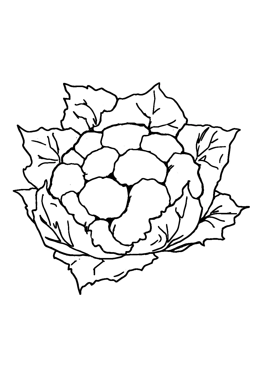 Cauliflower Coloring Pages 6