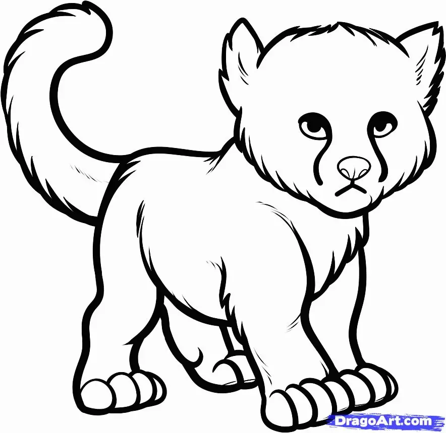 Cheetah Coloring Pages 33