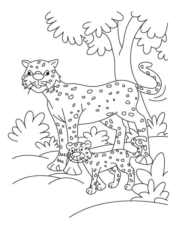 Cheetah Coloring Pages 44
