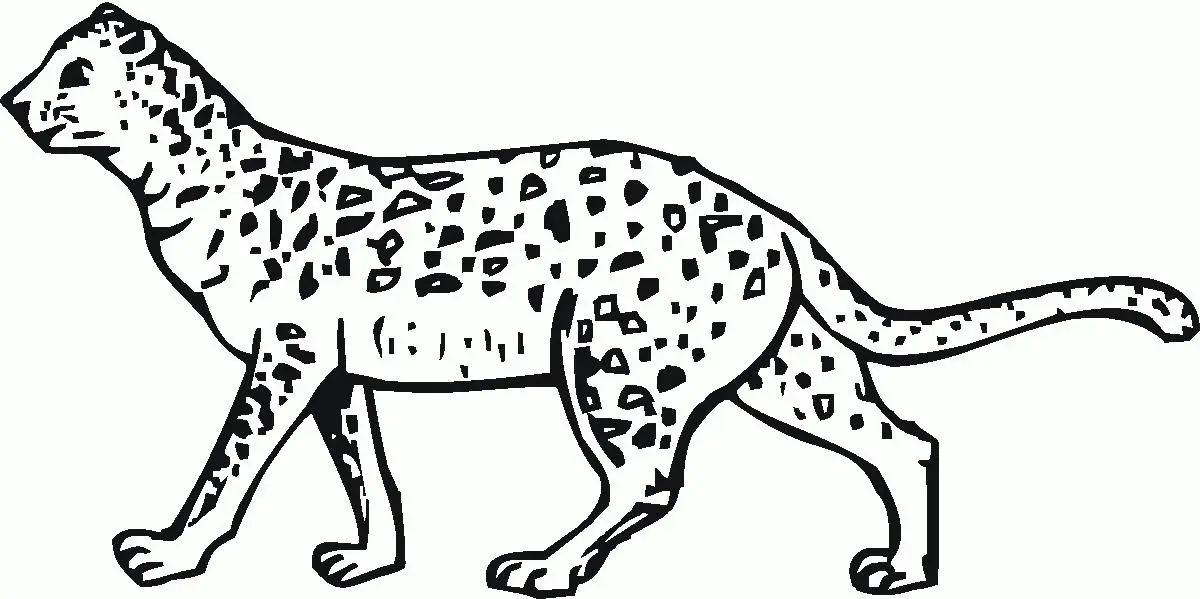 Cheetah Coloring Pages 52