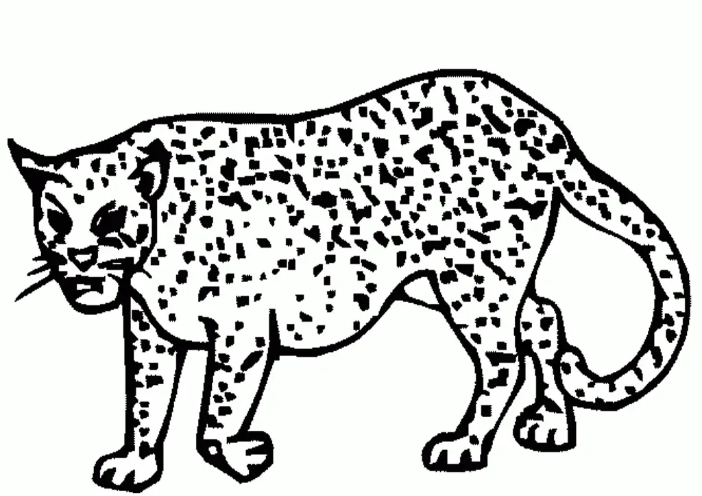 Cheetah Coloring Pages 61