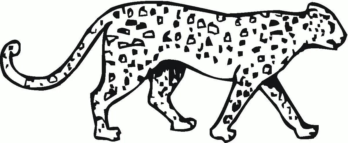 Cheetah Coloring Pages 63