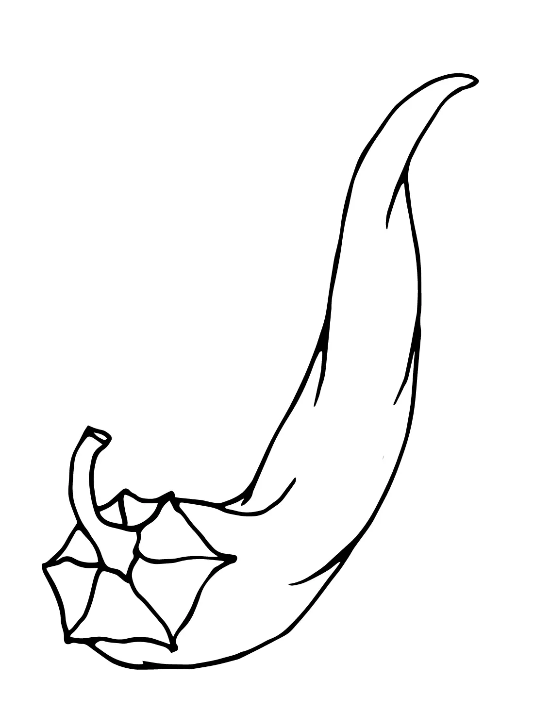 Chili Pepper Coloring Pages 39