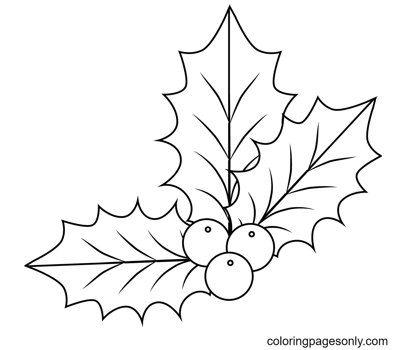 Acebo Navidad Para Colorear 21
