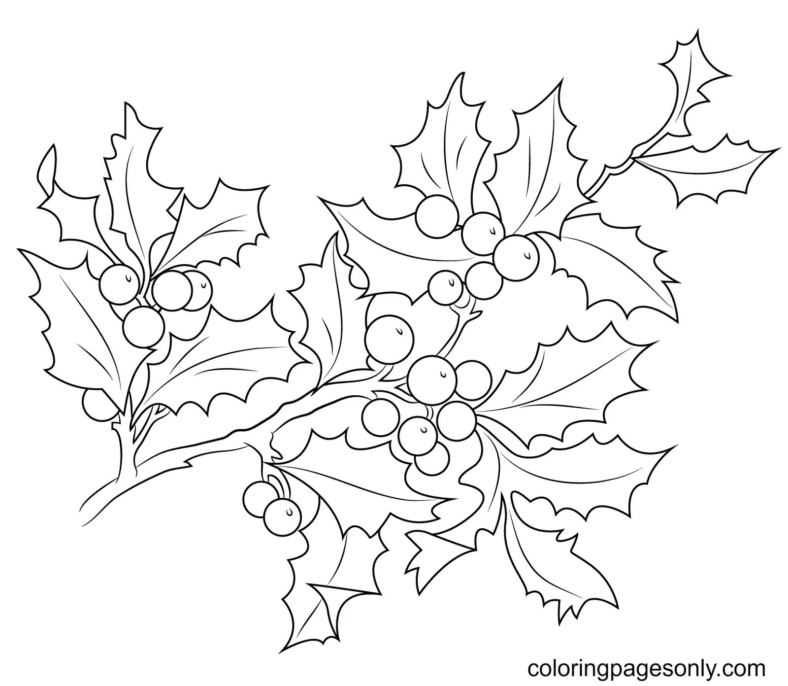 Acebo Navidad Para Colorear 34