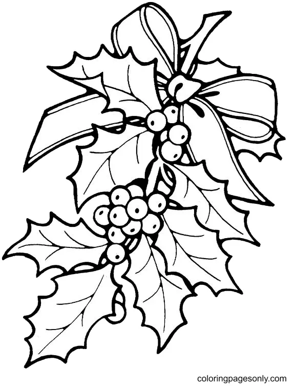 Acebo Navidad Para Colorear 42