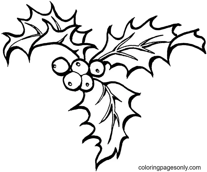 Acebo Navidad Para Colorear 45