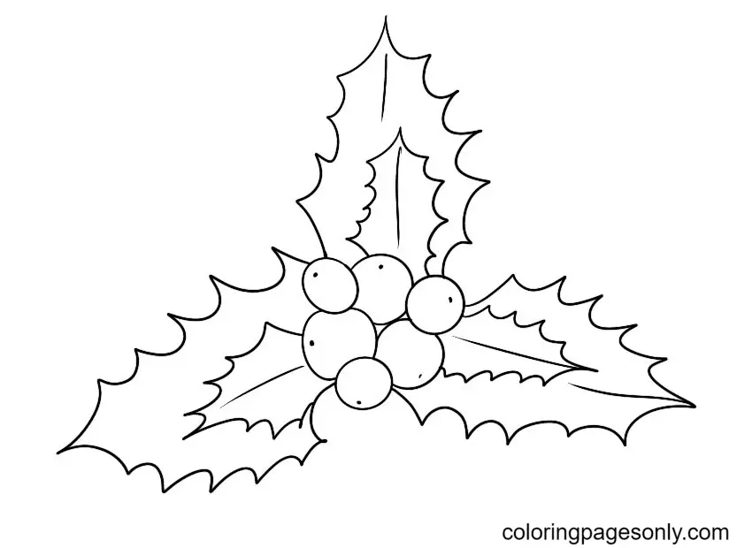 Acebo Navidad Para Colorear 53