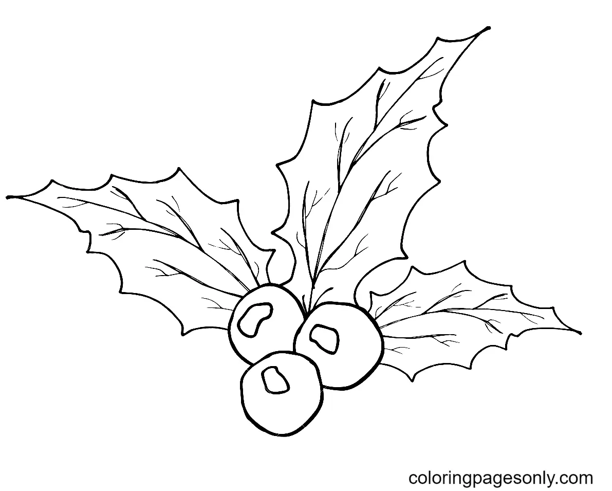 Christmas Holly Coloring Pages 61