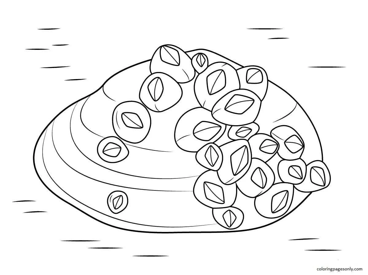 Desenhos de Moluscos Para Colorir 22