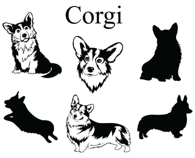 Corgi Ausmalbilder 1