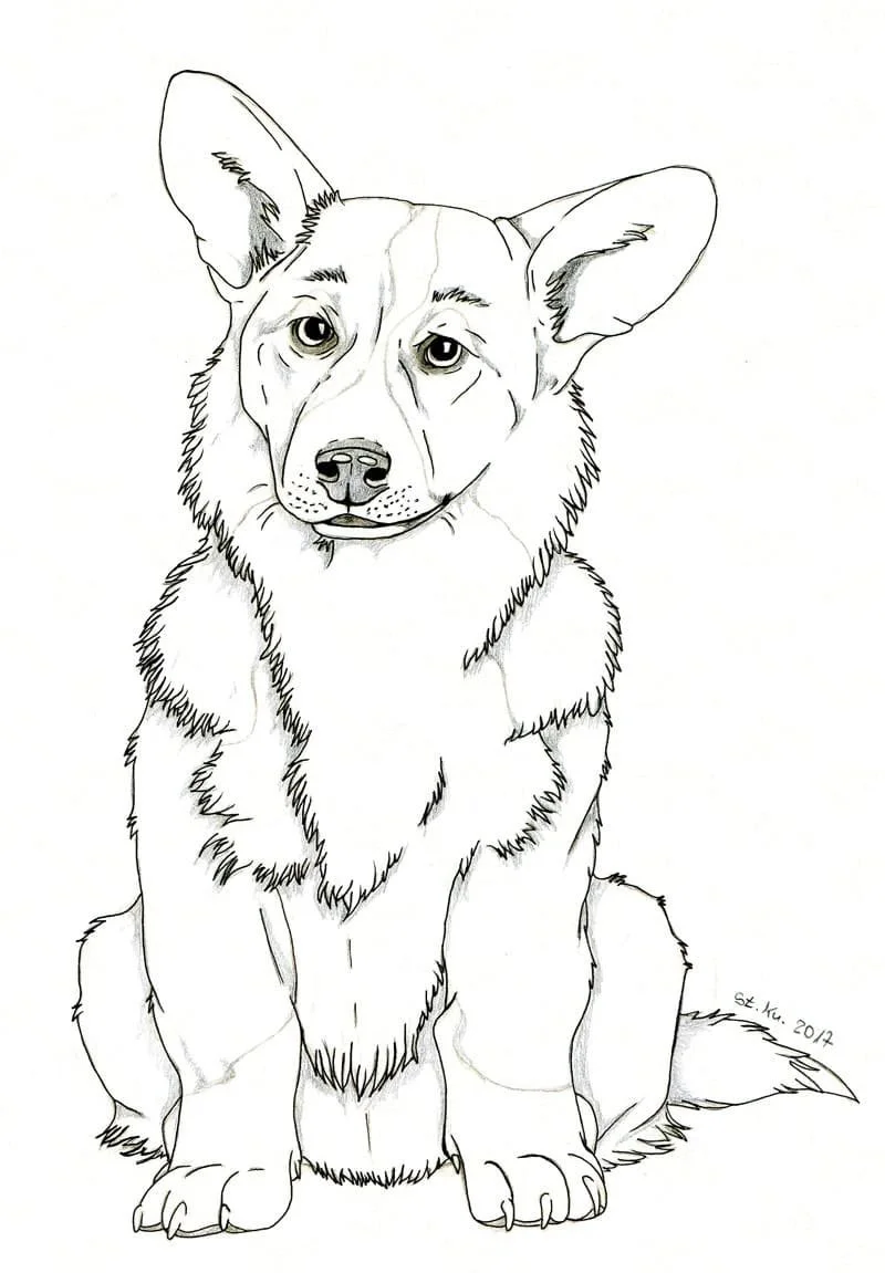 Corgi Ausmalbilder 25