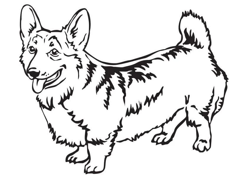 Corgi Ausmalbilder 26