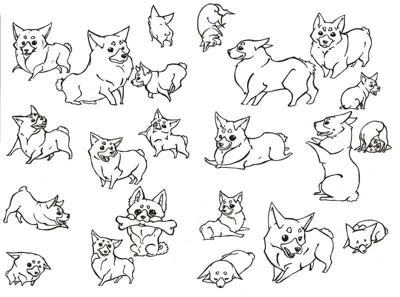 Corgi Ausmalbilder 37