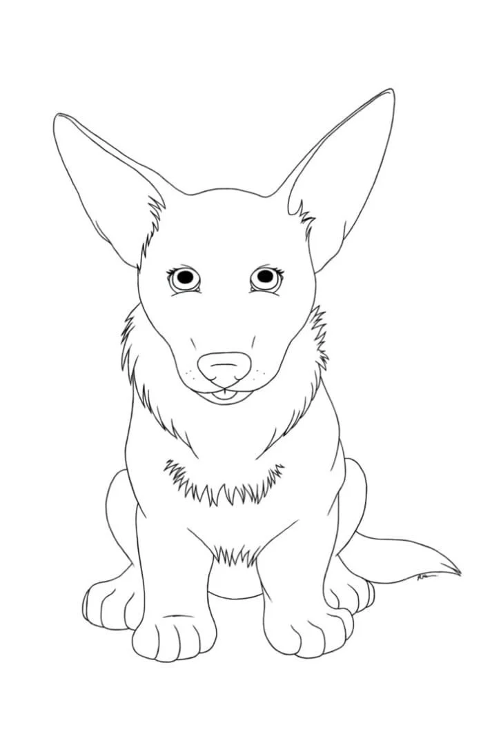 Corgi Ausmalbilder 41