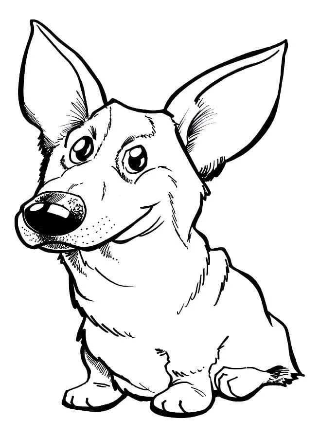 Corgi Ausmalbilder 6