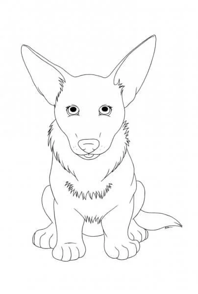 Corgi Ausmalbilder 75