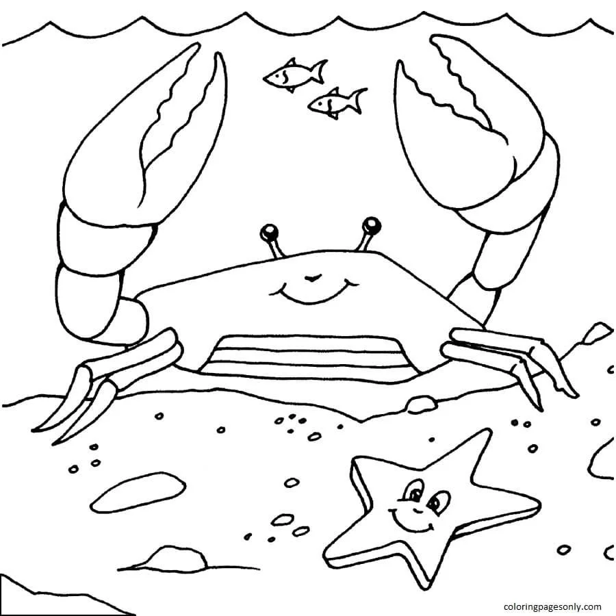Desenhos de Caranguejo Para Colorir 6