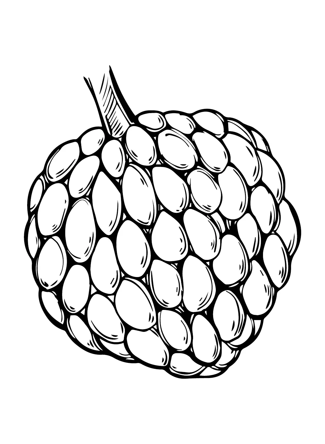 Custard Apple Coloring Pages 12
