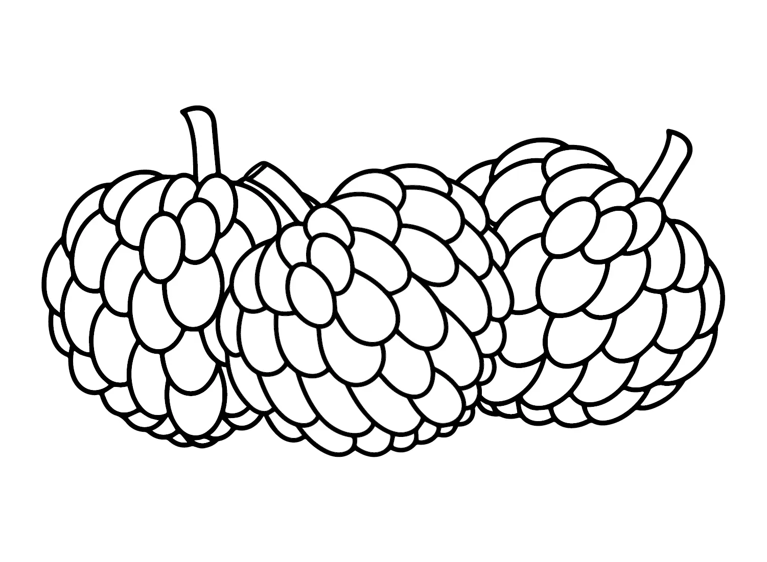 Custard Apple Coloring Pages 18