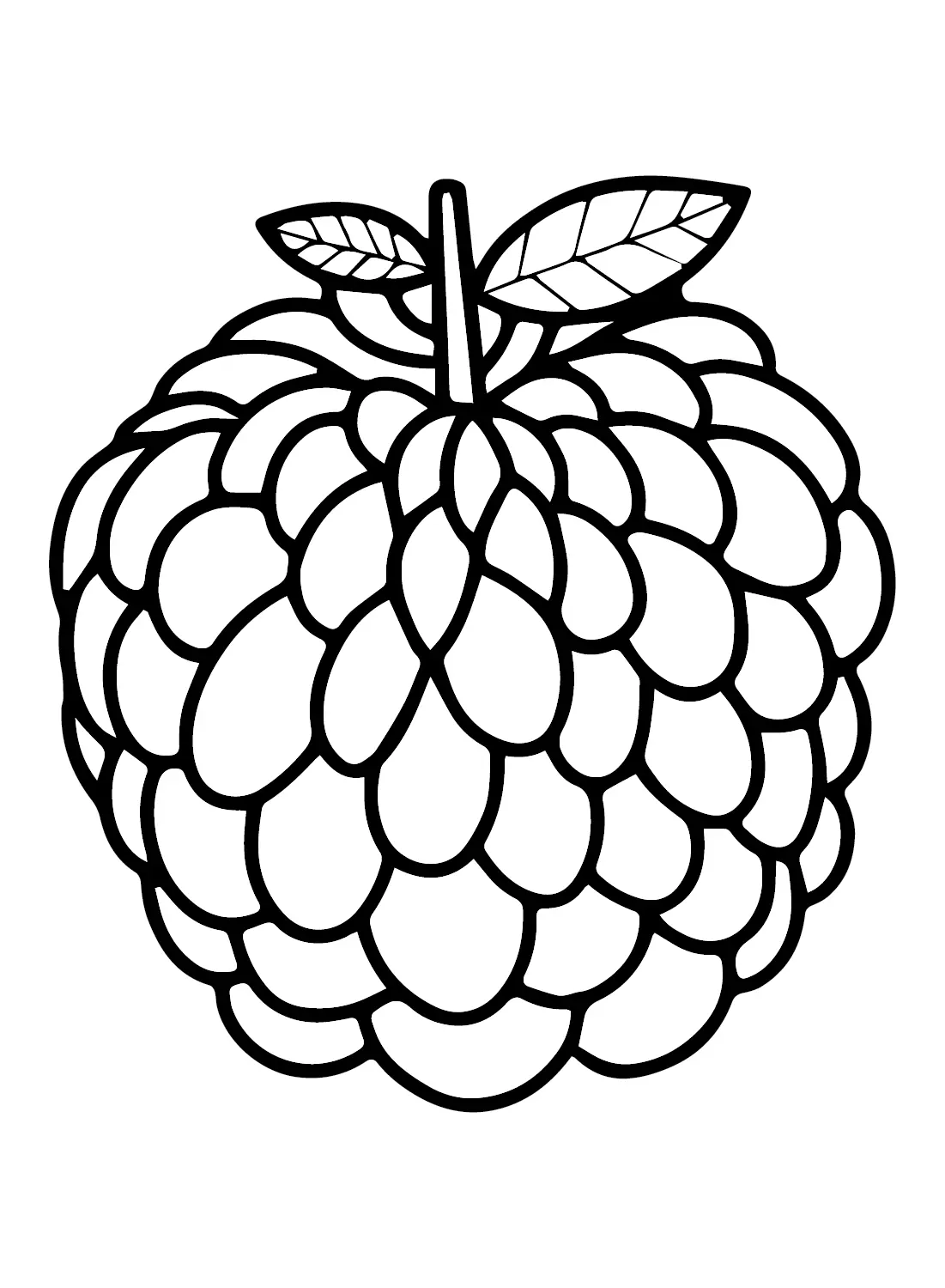 Custard Apple Coloring Pages 23