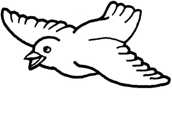 Desenhos de Passaro Fofo Para Colorir 40