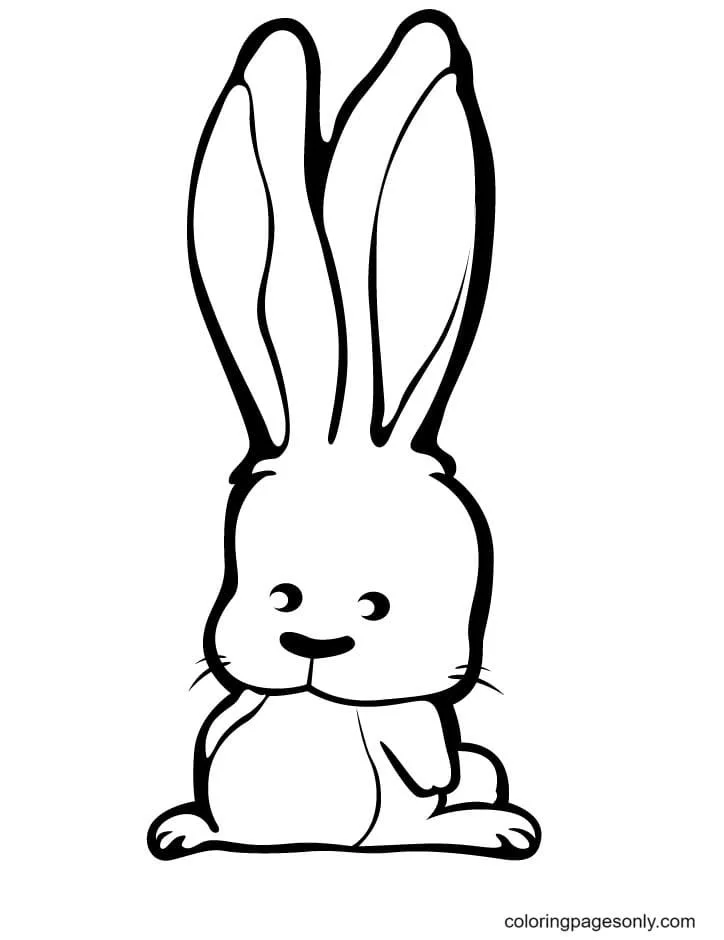 Desenhos de Coelhinhos Fofos Para Colorir 12
