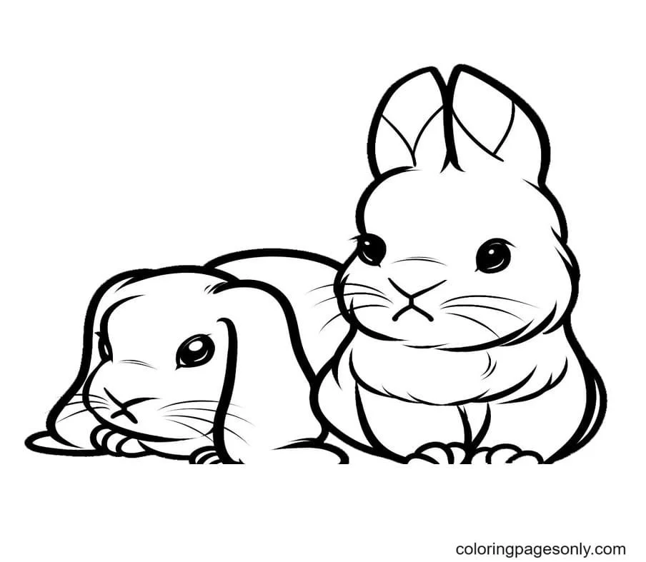 Conejitos Lindos Para Colorear 14