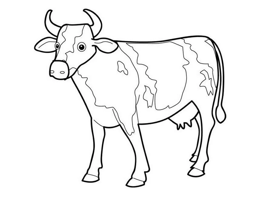 Cute Cow Coloring Pages 31