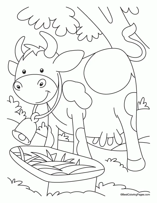 Cute Cow Coloring Pages 40
