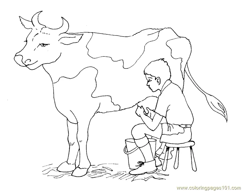 Cute Cow Coloring Pages 47