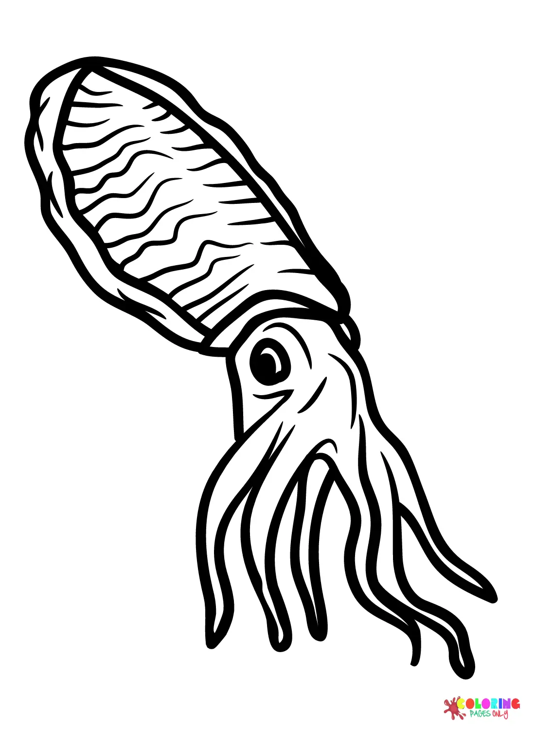 Tintenfisch Ausmalbilder 5