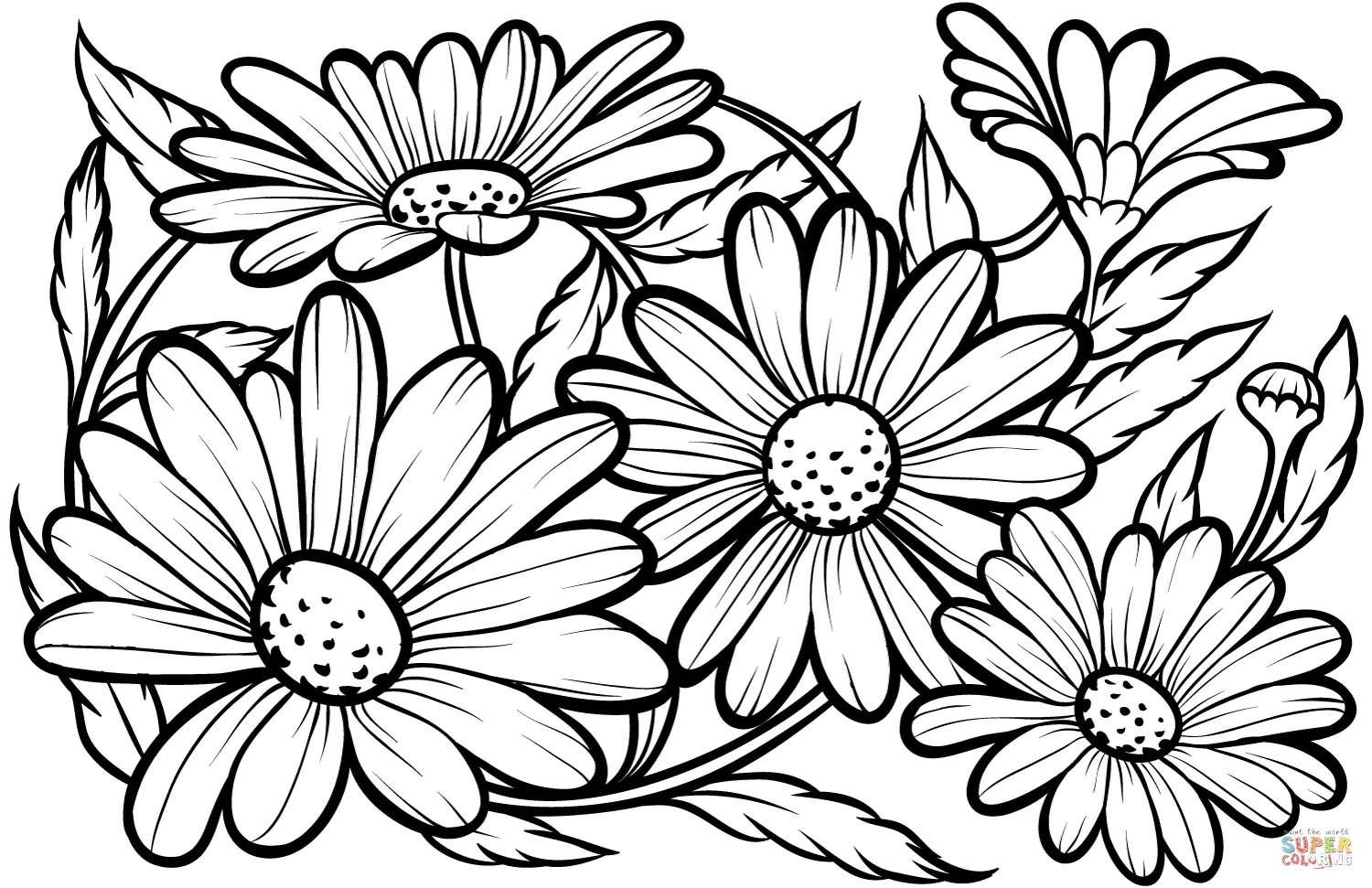 Desenhos de Margaridas Para Colorir 3