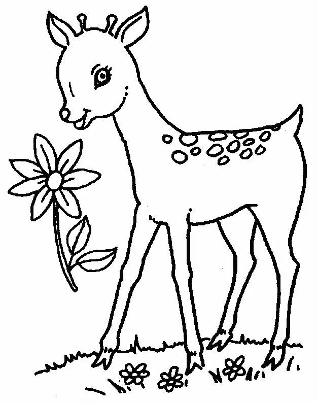 Deer Coloring Pages 23