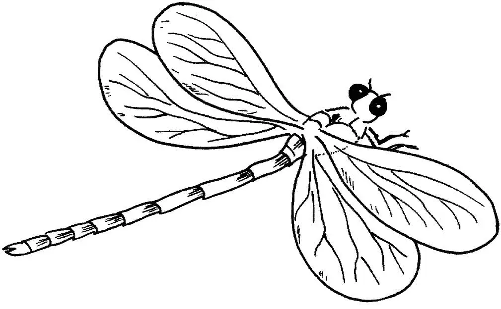 Libellen Ausmalbilder 4