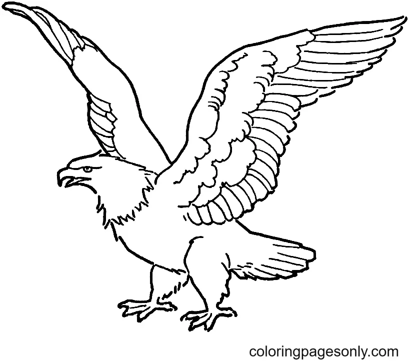 Desenhos de Aguia Para Colorir 10