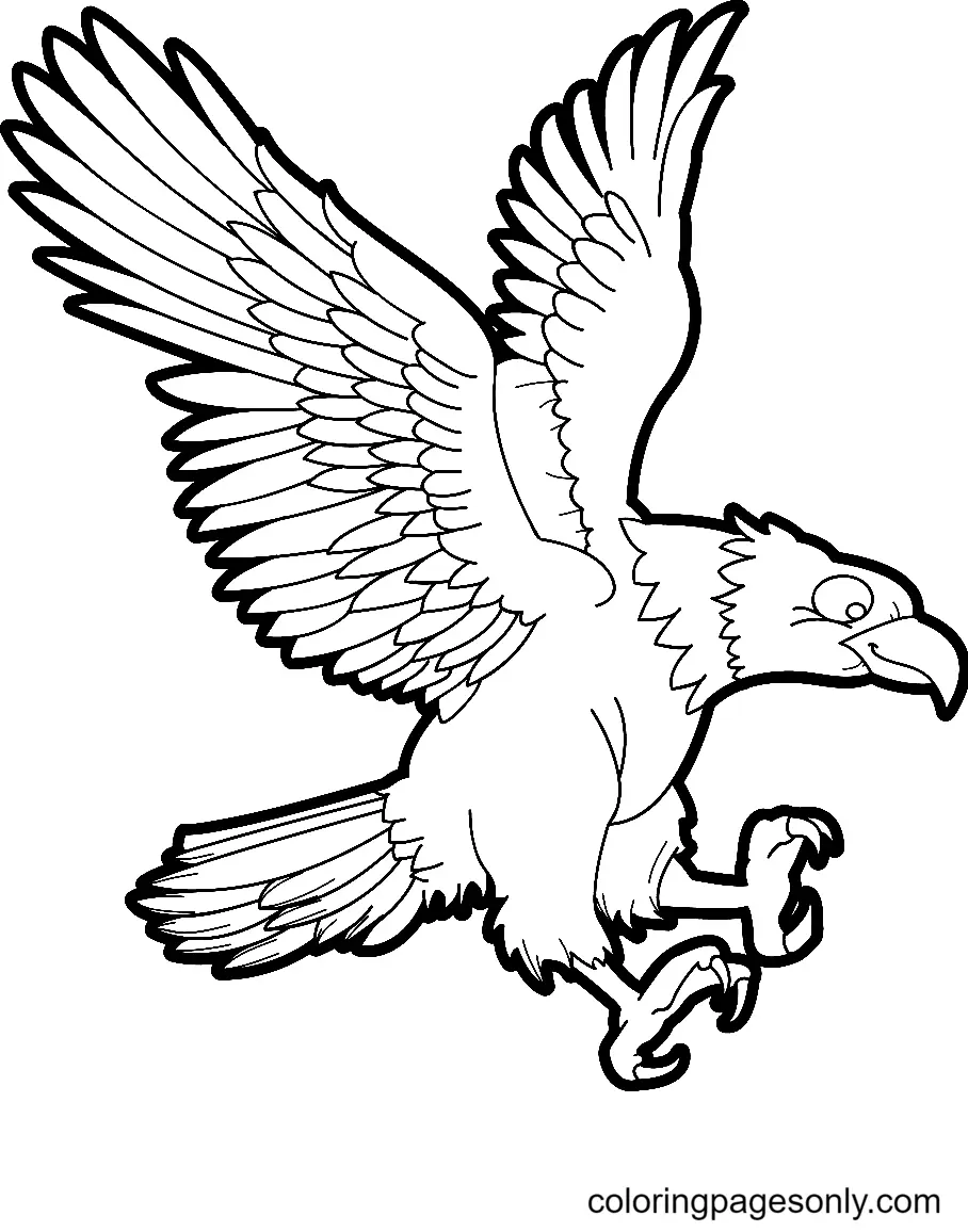 Desenhos de Aguia Para Colorir 13